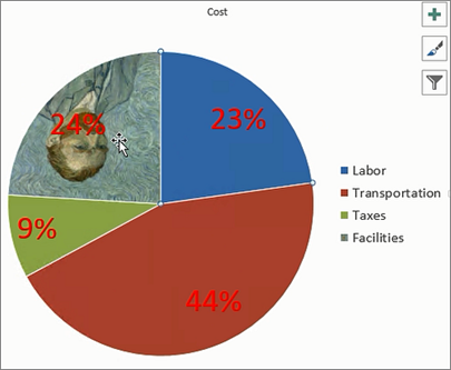 Pie Chart