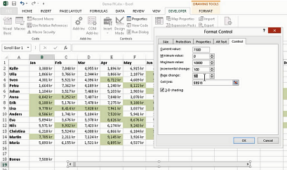 Excel Format Controls